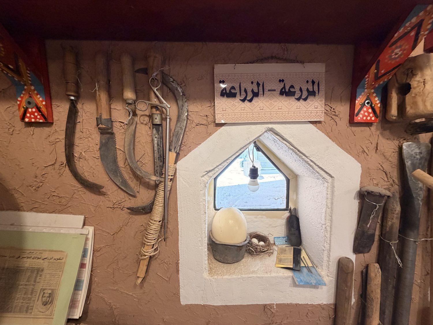 قسم الزراعة